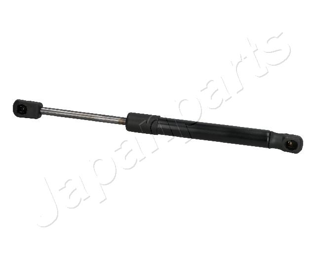 ZS05046