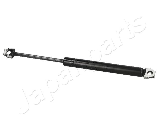 ZS01018