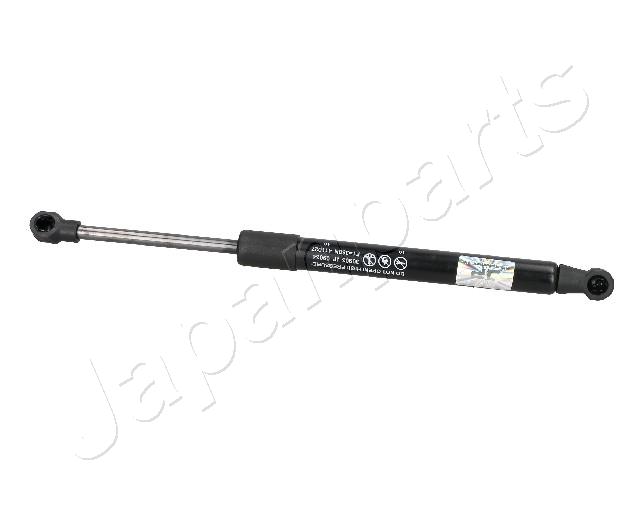 ZS09034