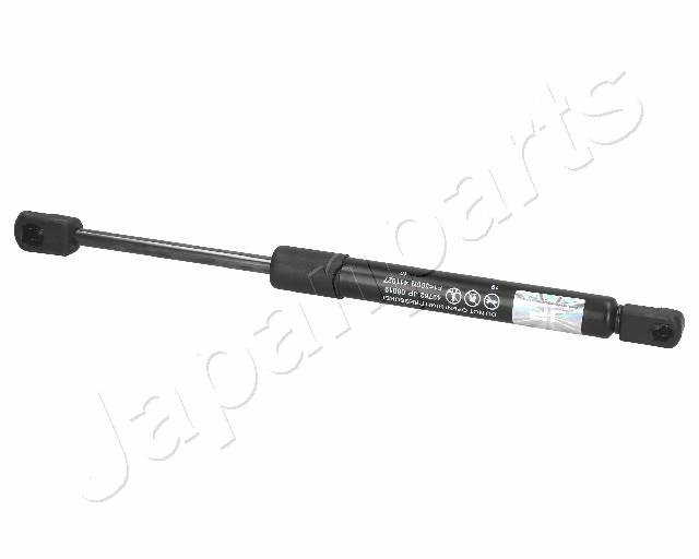 ZS00019