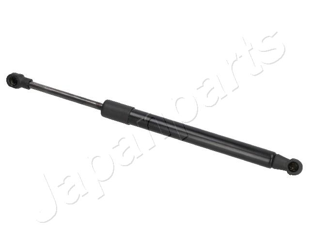ZS01052