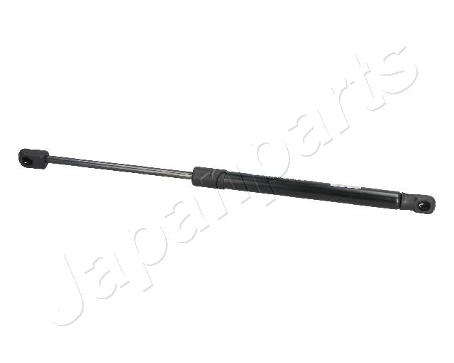 ZS09056