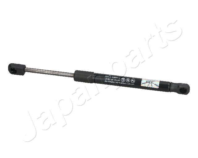 ZS09020