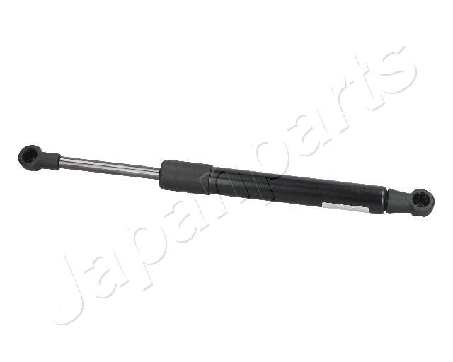 ZS09050