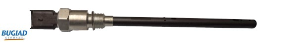 BOL15938