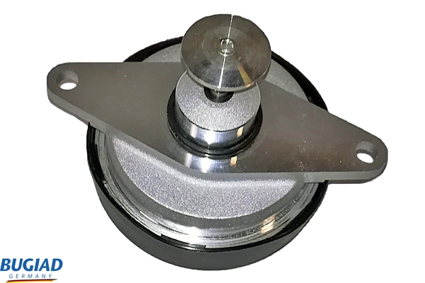 BGR13037