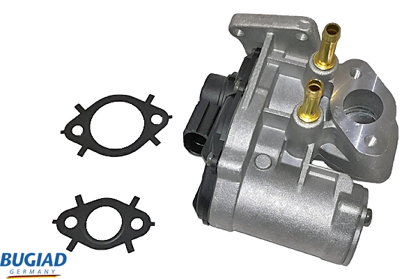 BGR13010