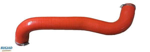 82244