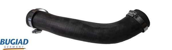 82555