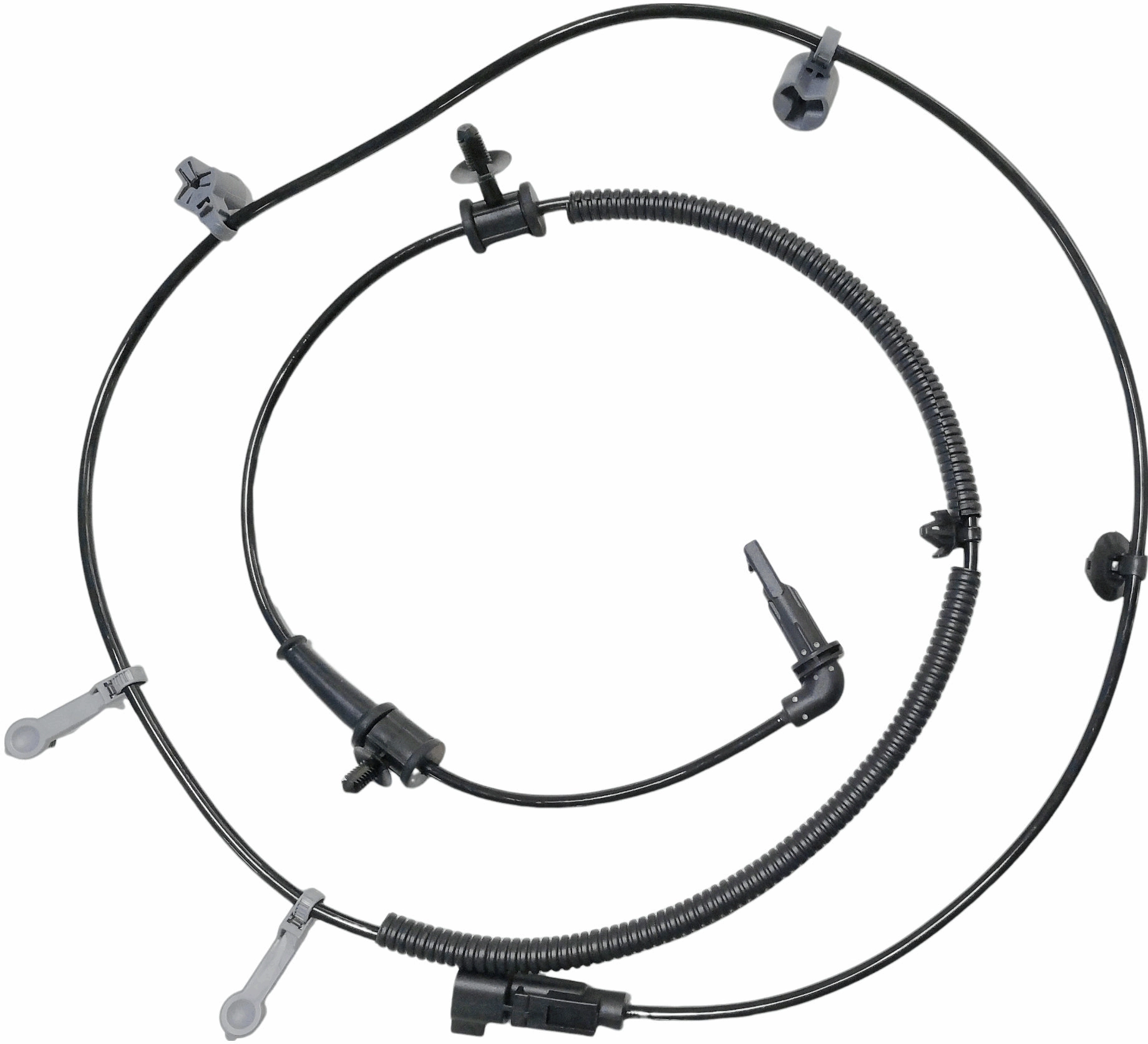 GBS7084