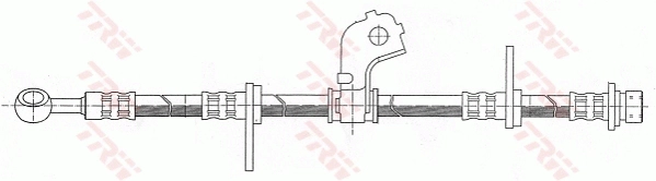 PHD317