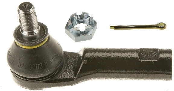 JTE1212