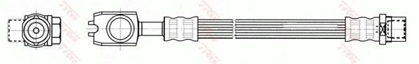 PHD557