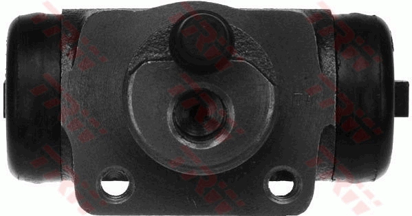 BWF100