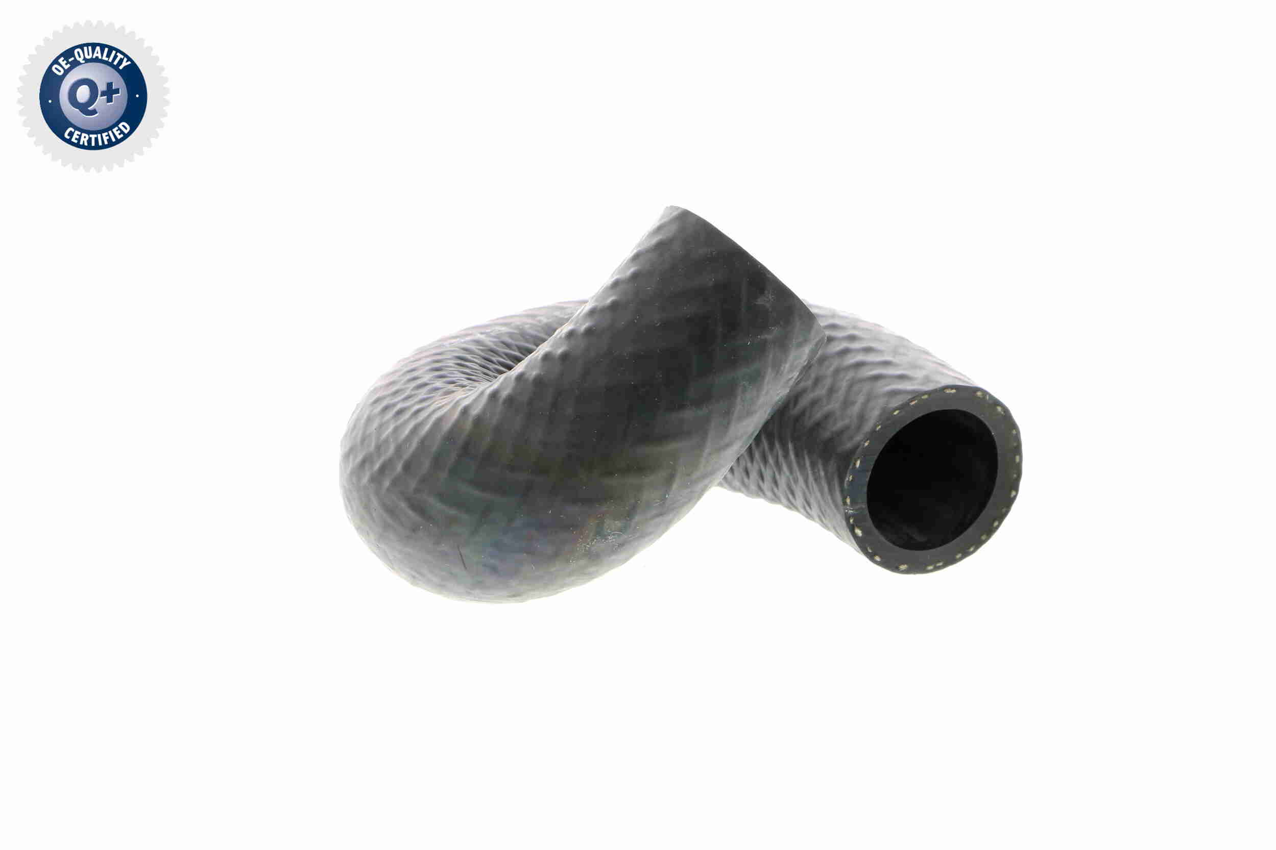 V20-1697