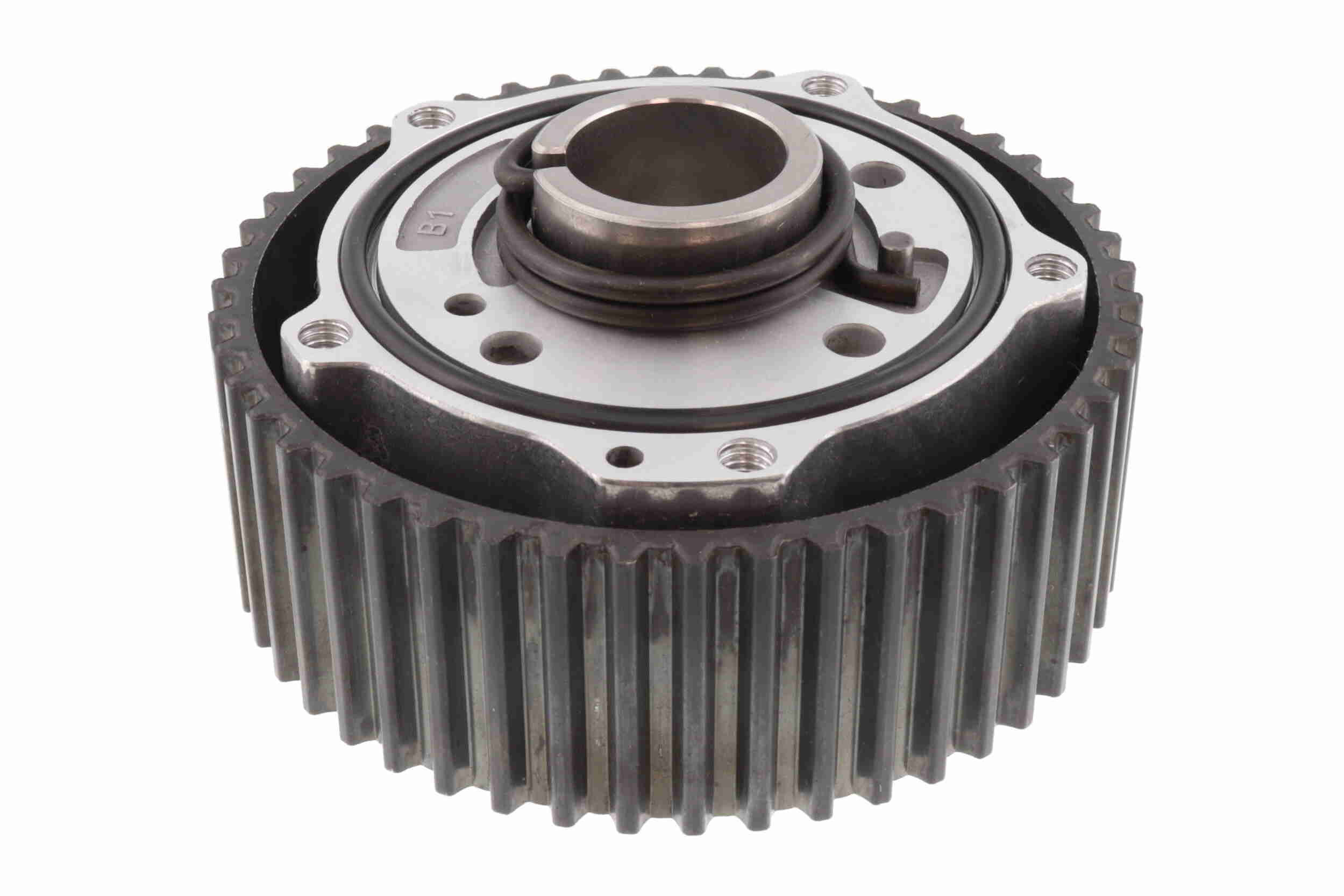 V10-8079