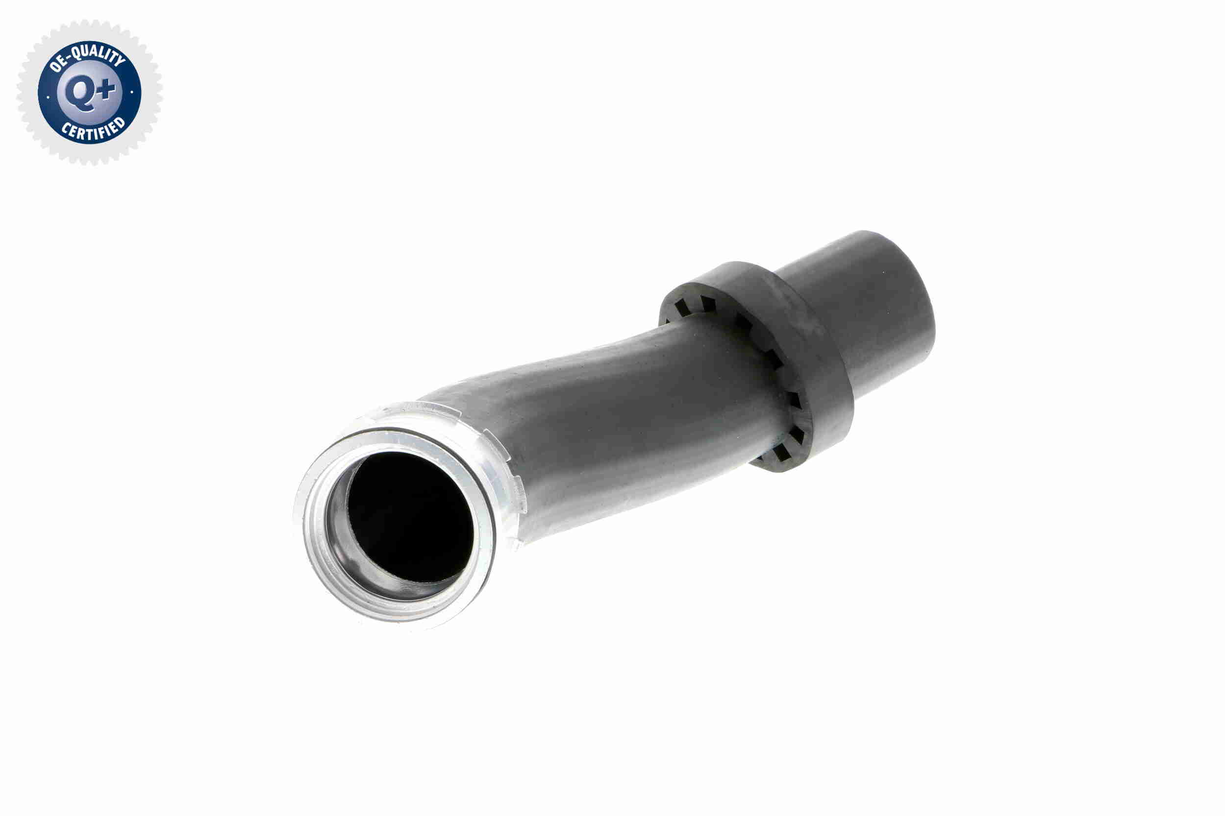 V20-1619