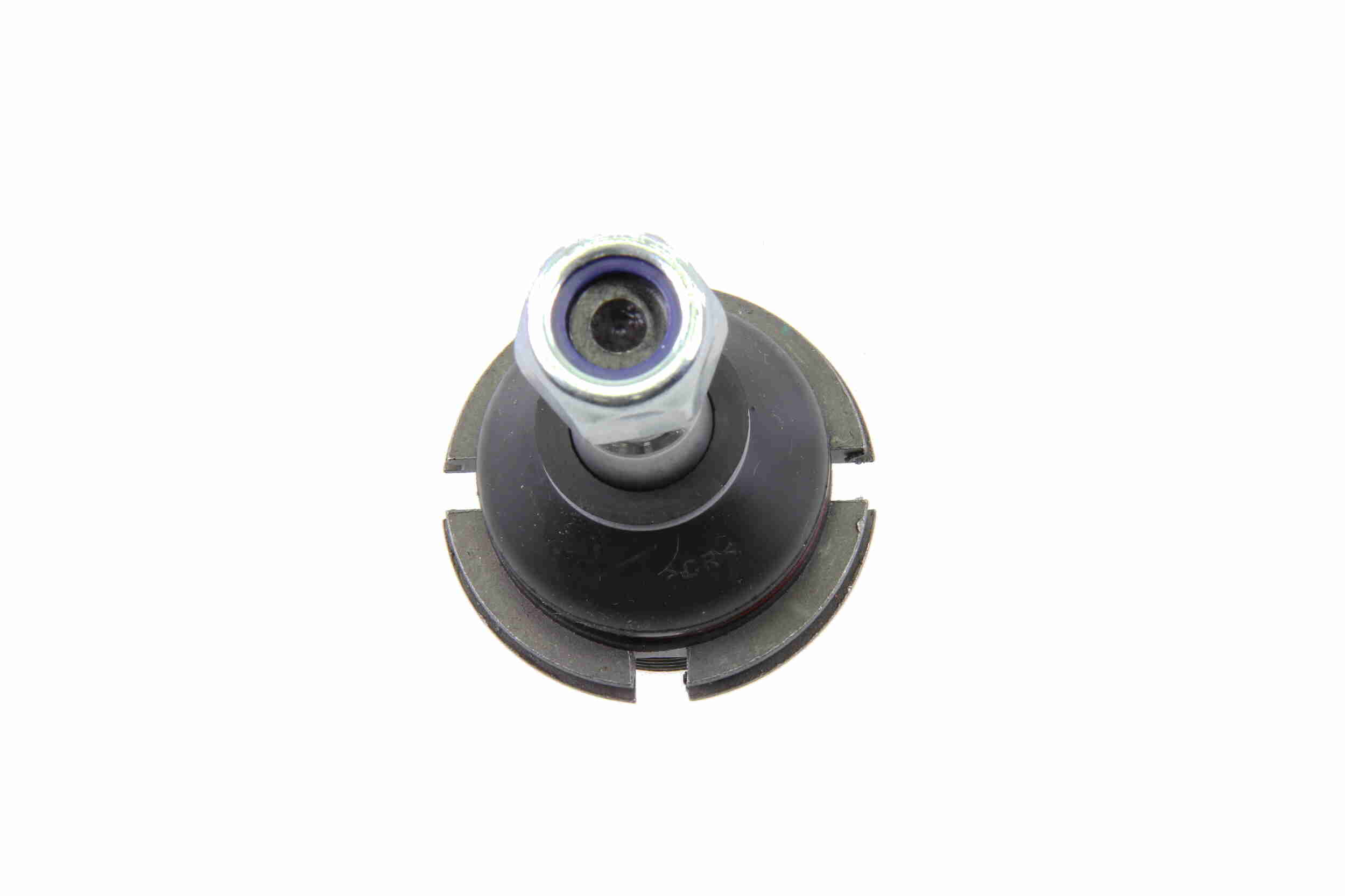 V42-0081
