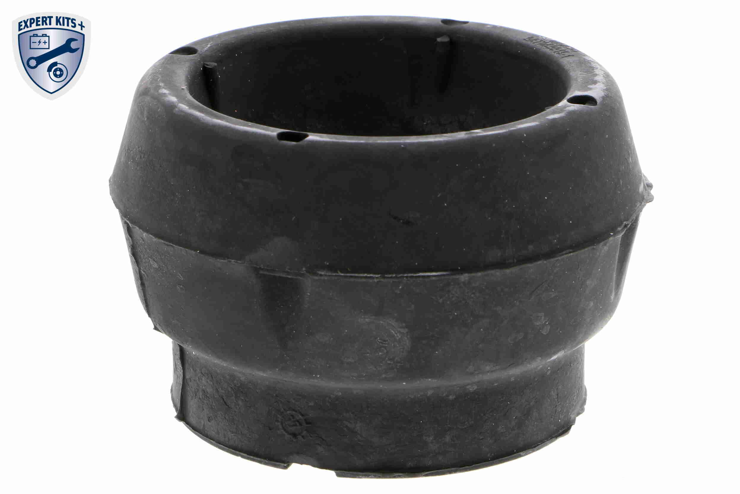 V10-1001