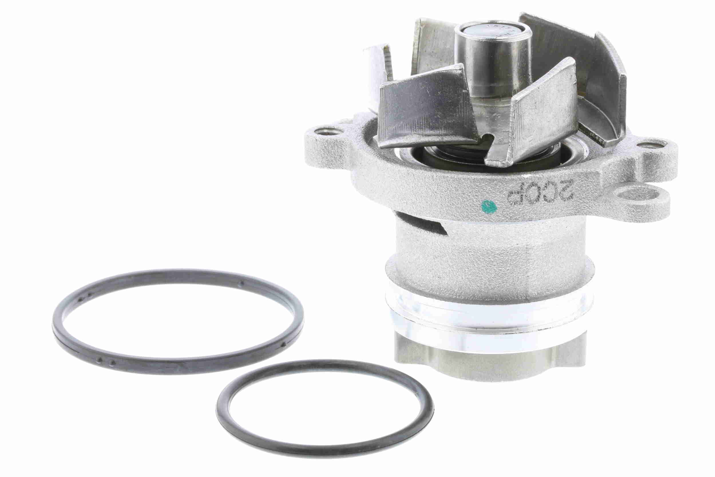 V24-50018