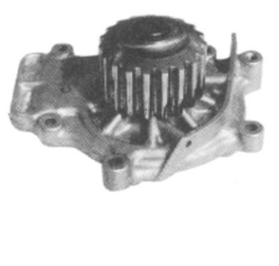 WH-031