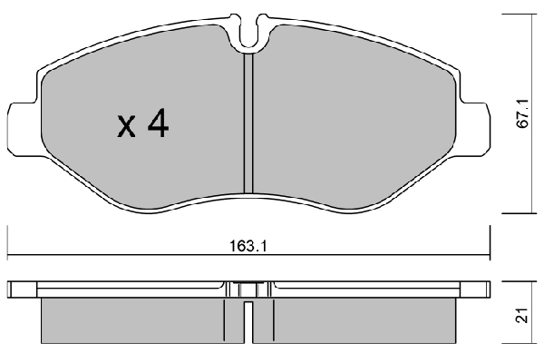 BPIV1001
