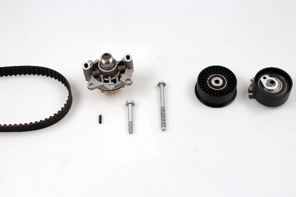 PK09560