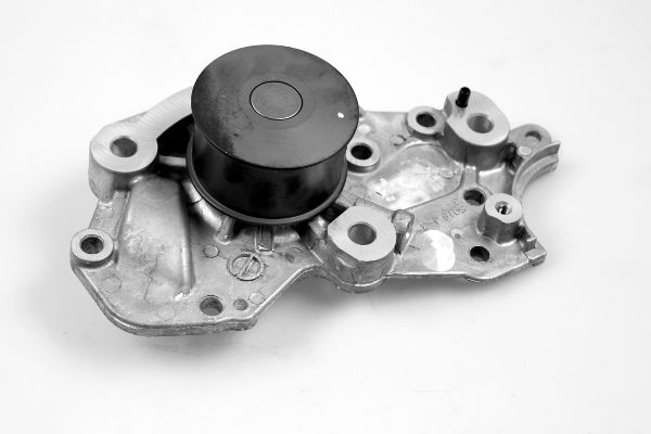 P7741