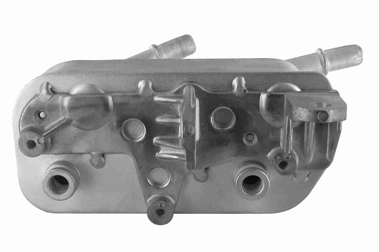 V20-60-0004