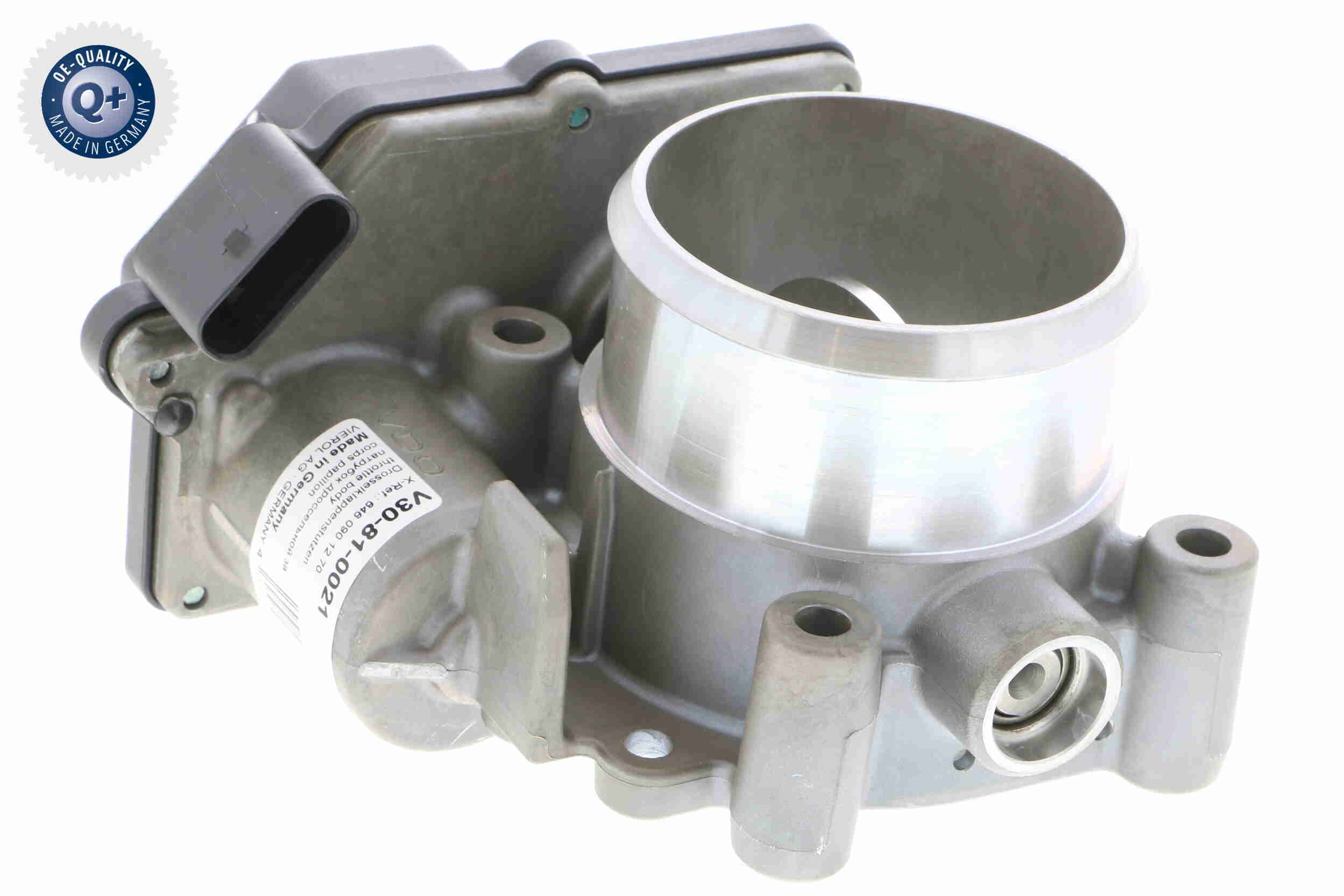 V30-81-0021