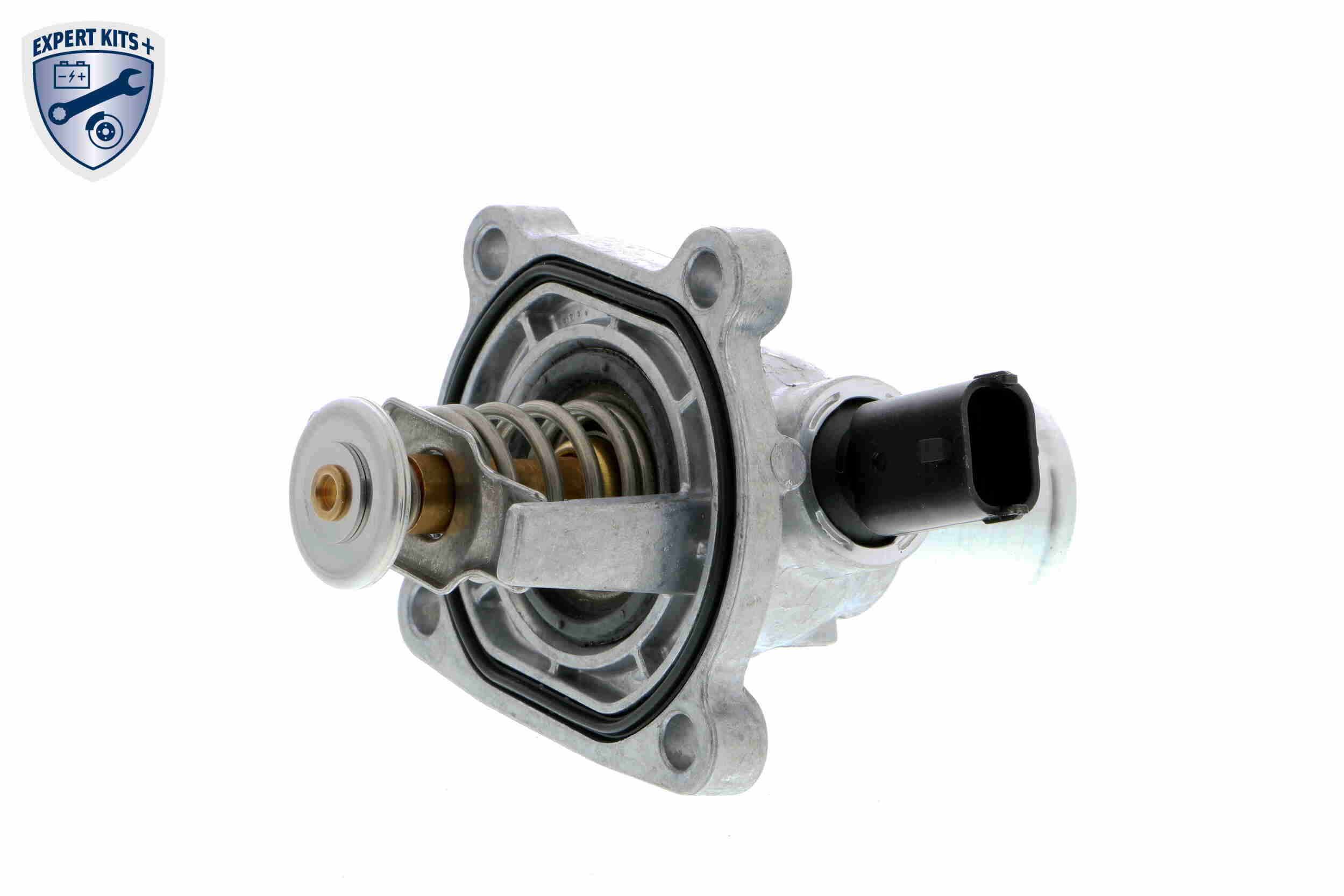V40-99-0031