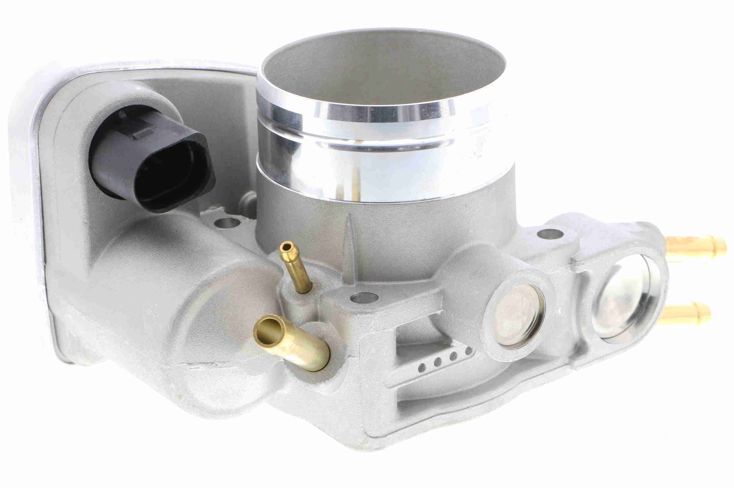 V10-81-0059