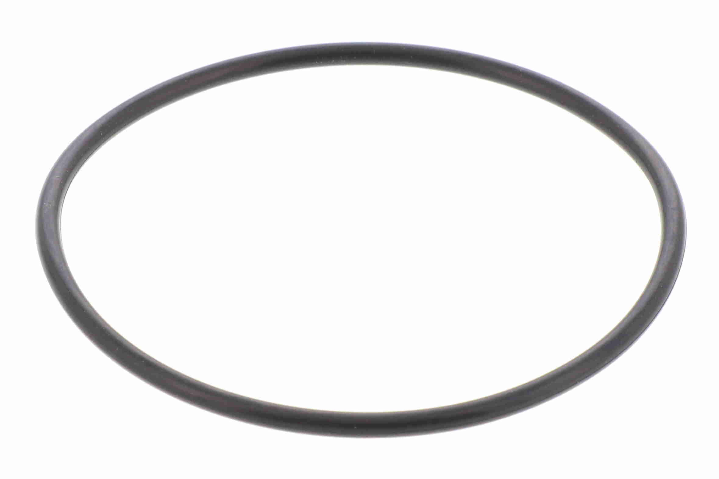V20-81-0041