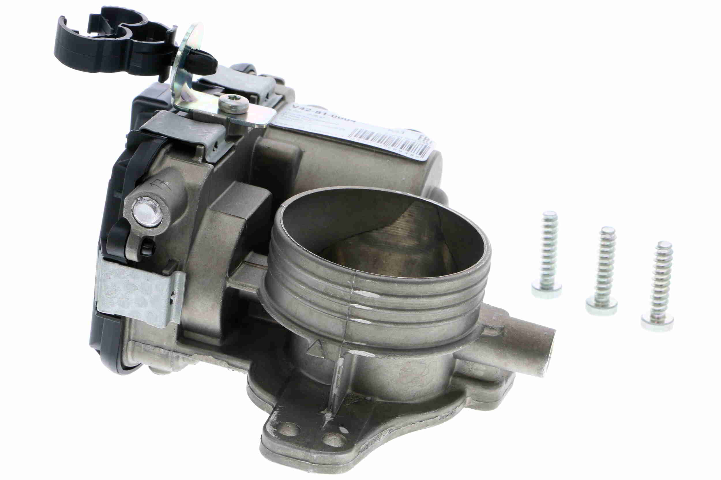 V42-81-0004