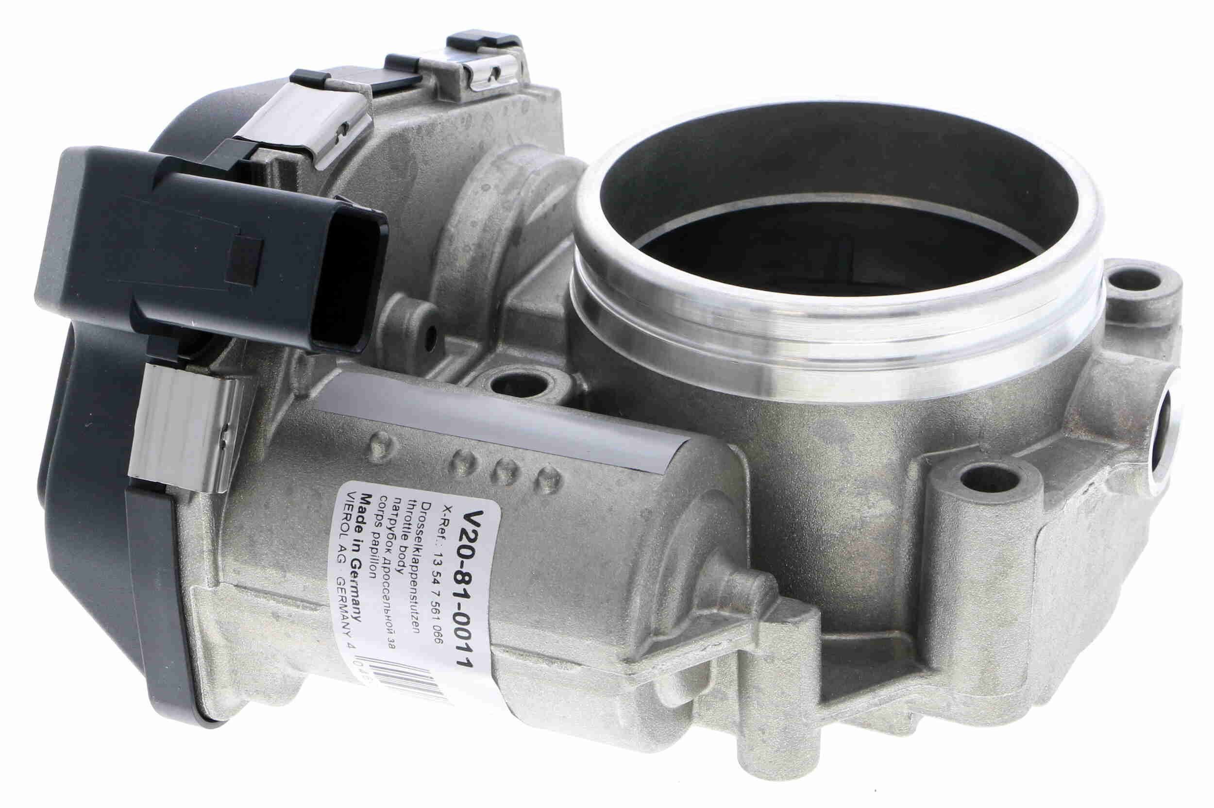 V20-81-0011