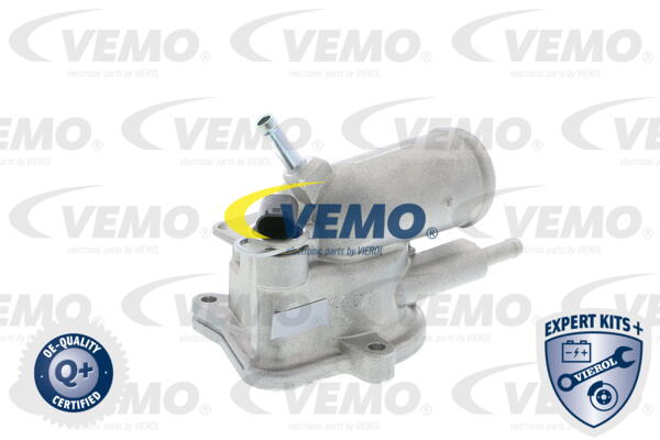 V30-99-0101