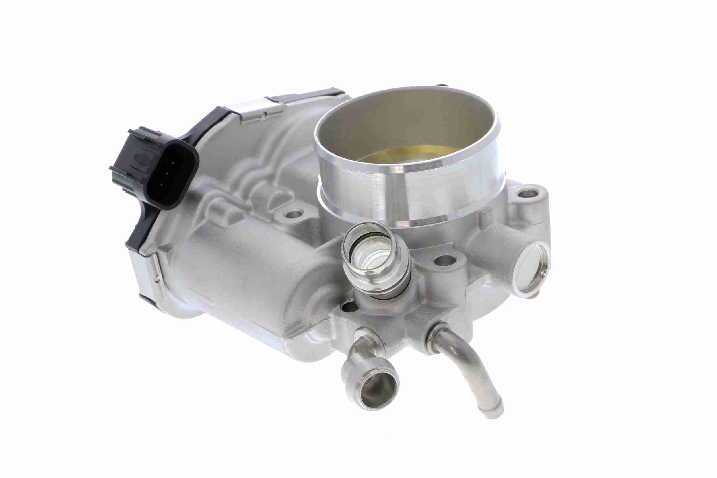 V40-81-0017