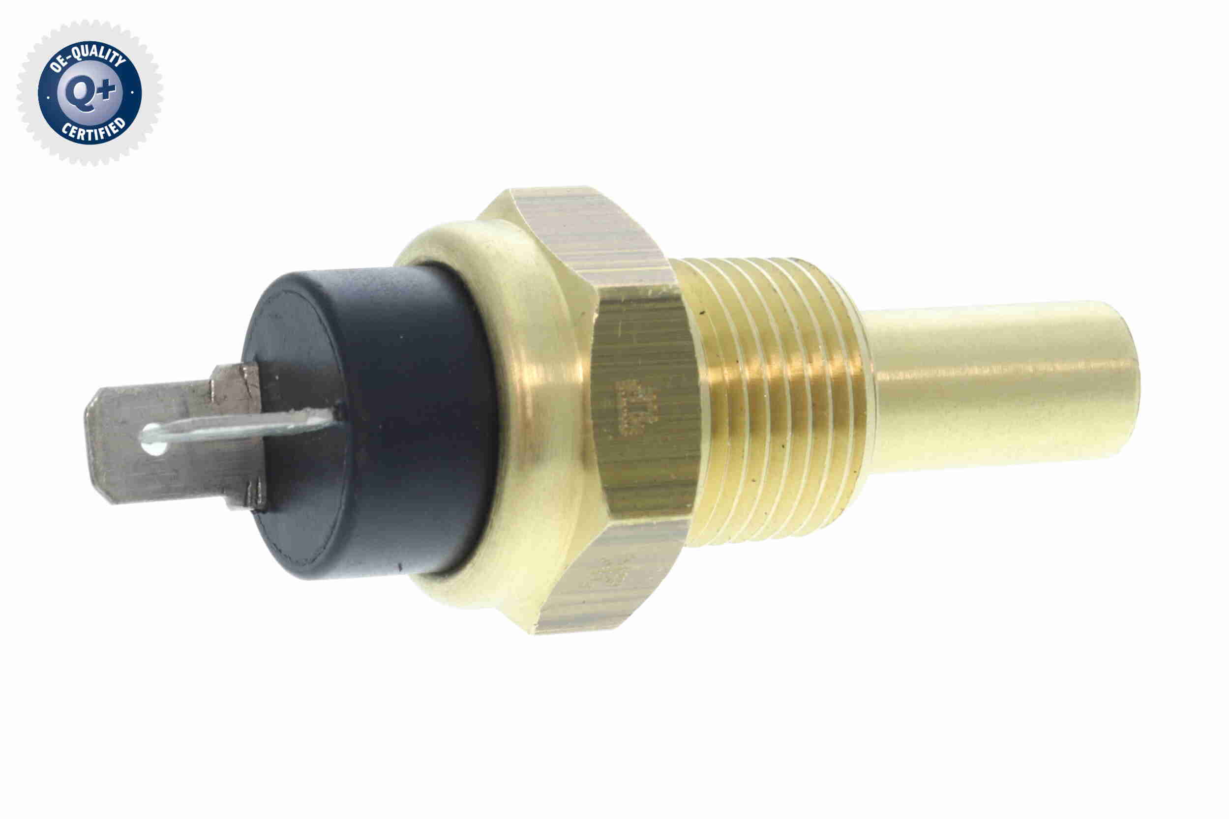 V37-72-0005