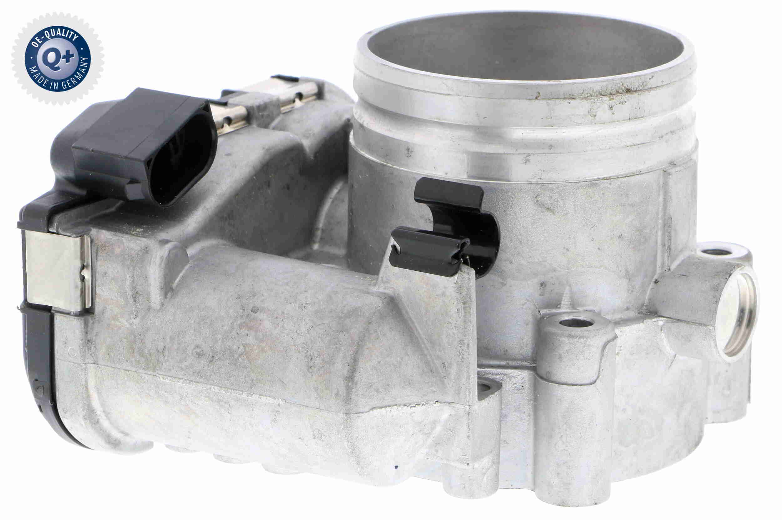 V24-81-0004