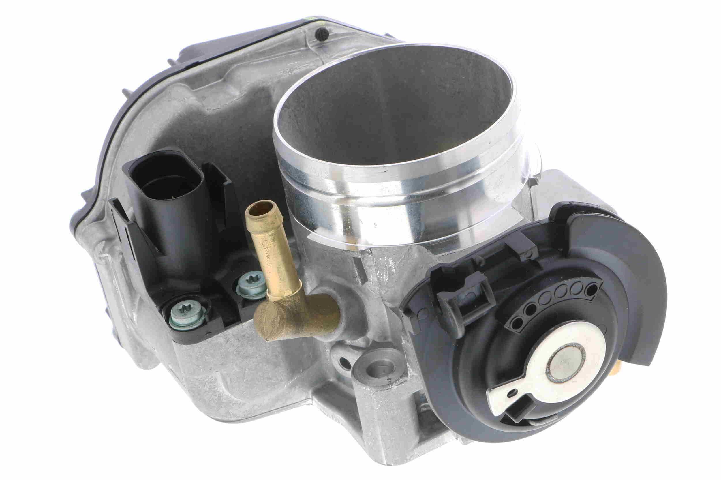 V10-81-0102