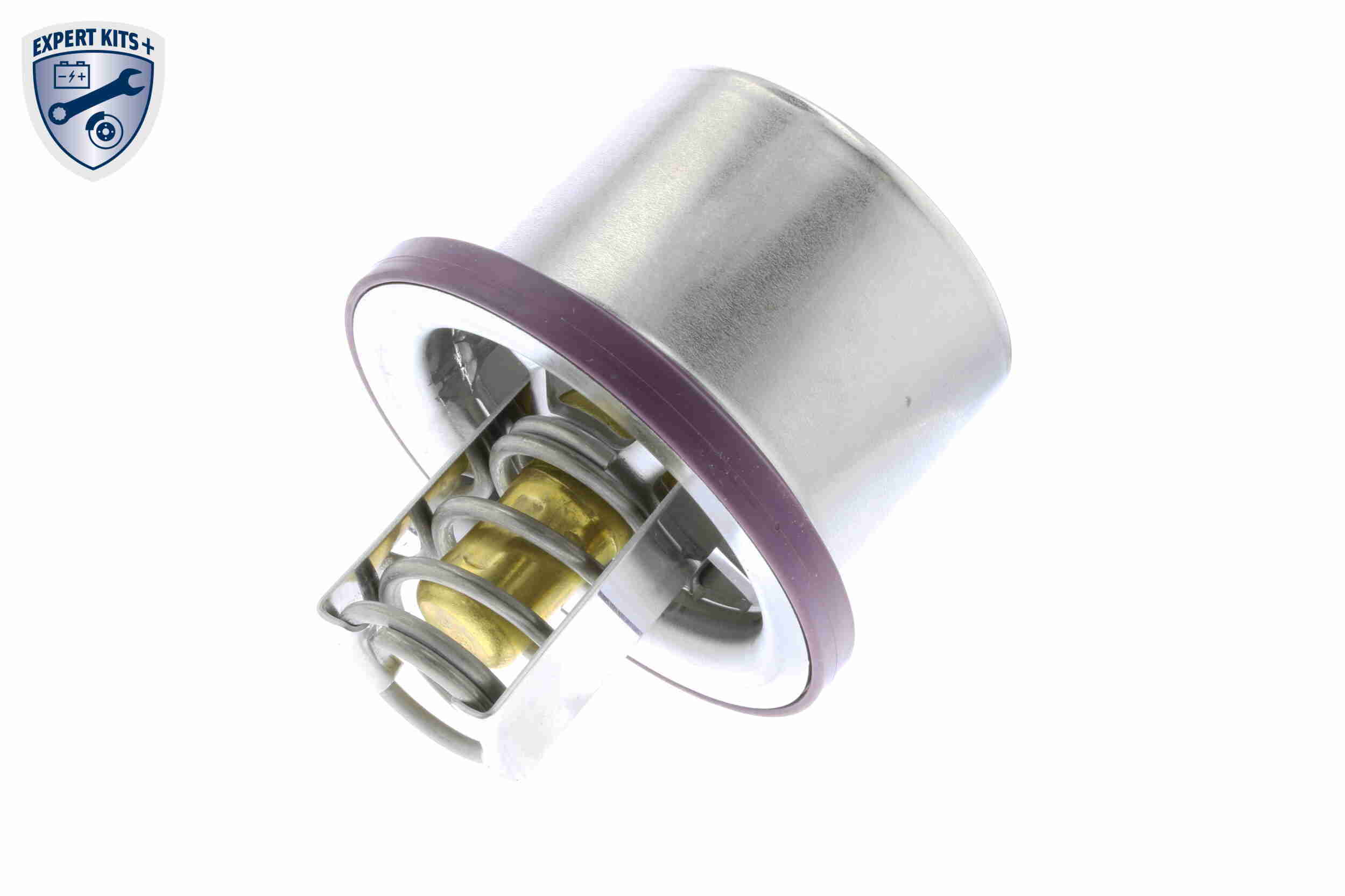 V45-99-0001