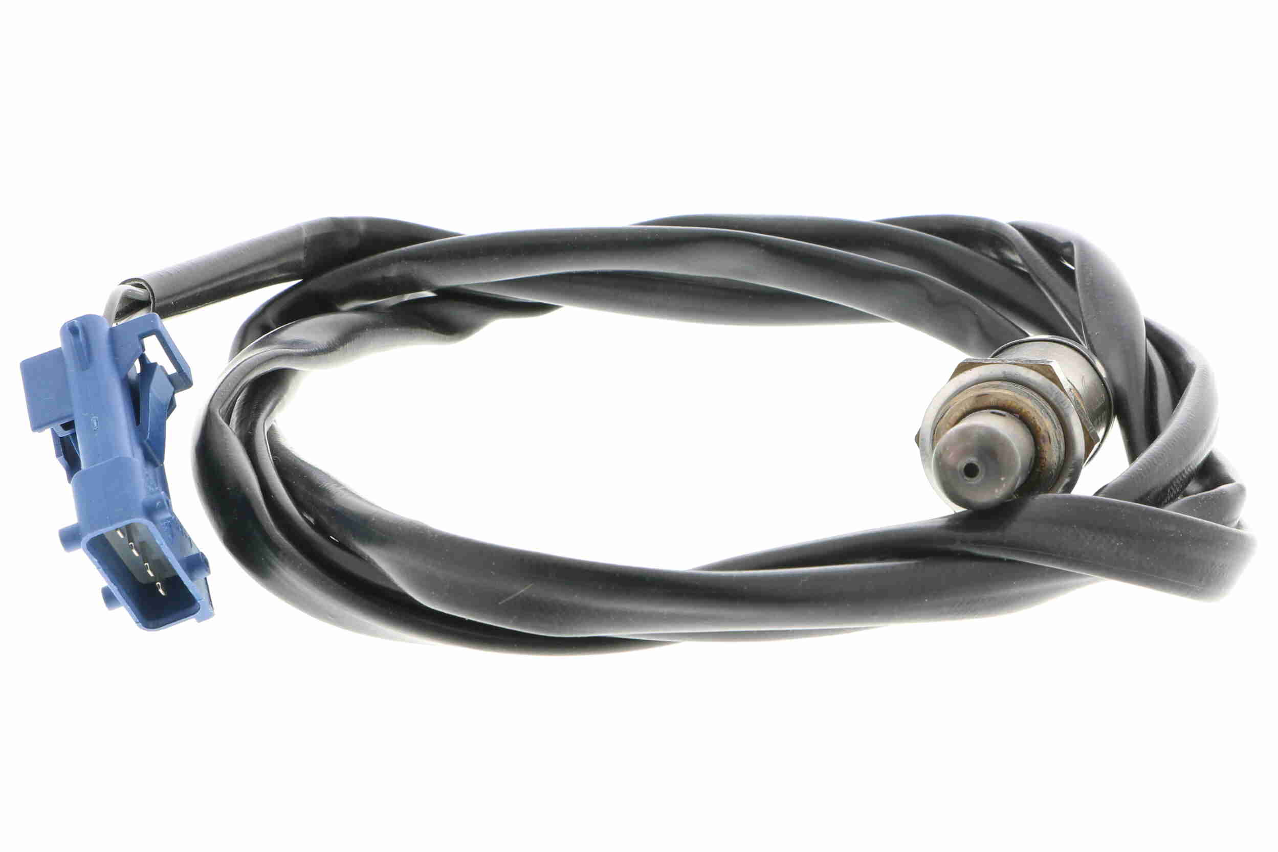 V95-76-0024