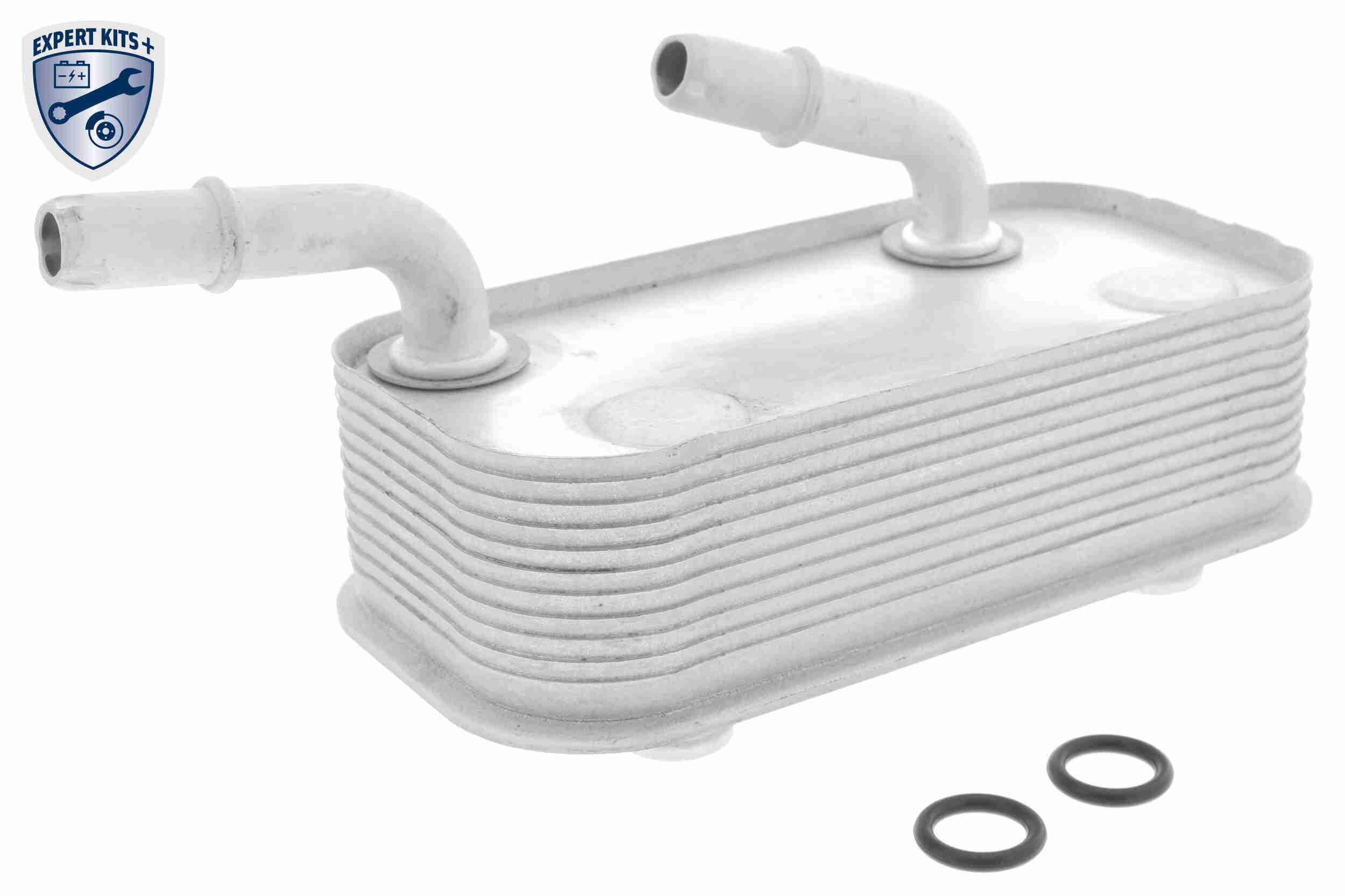 V20-60-0002