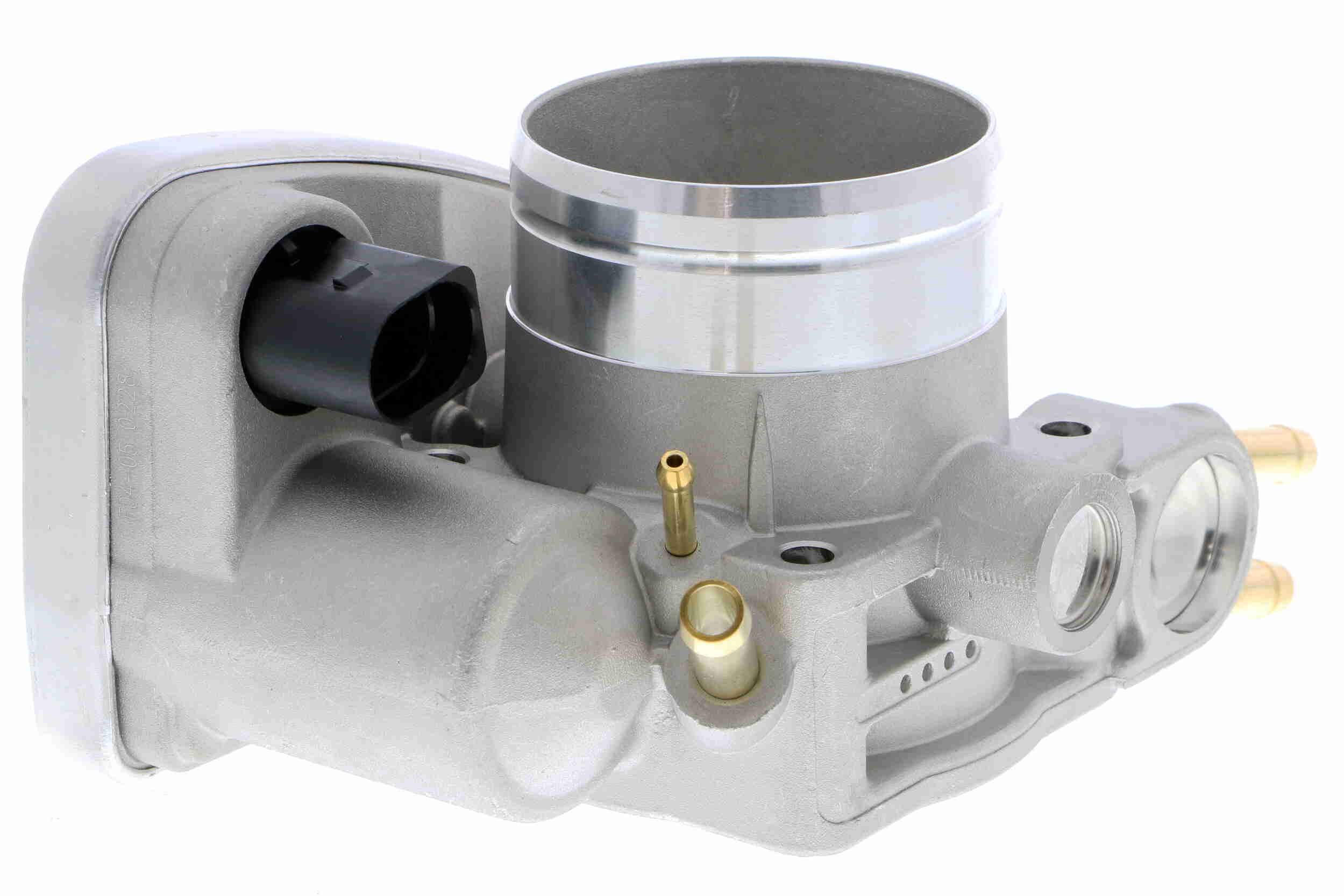 V10-81-0060
