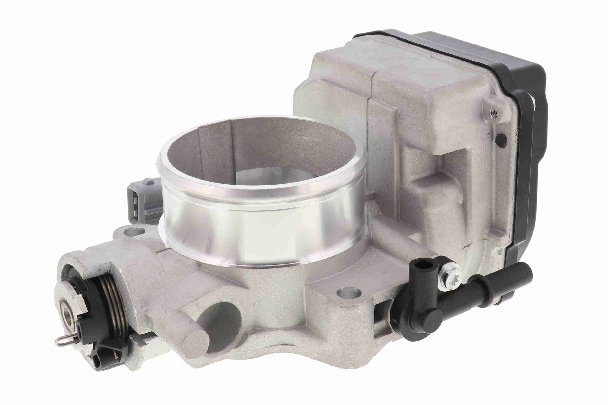 V42-81-0008