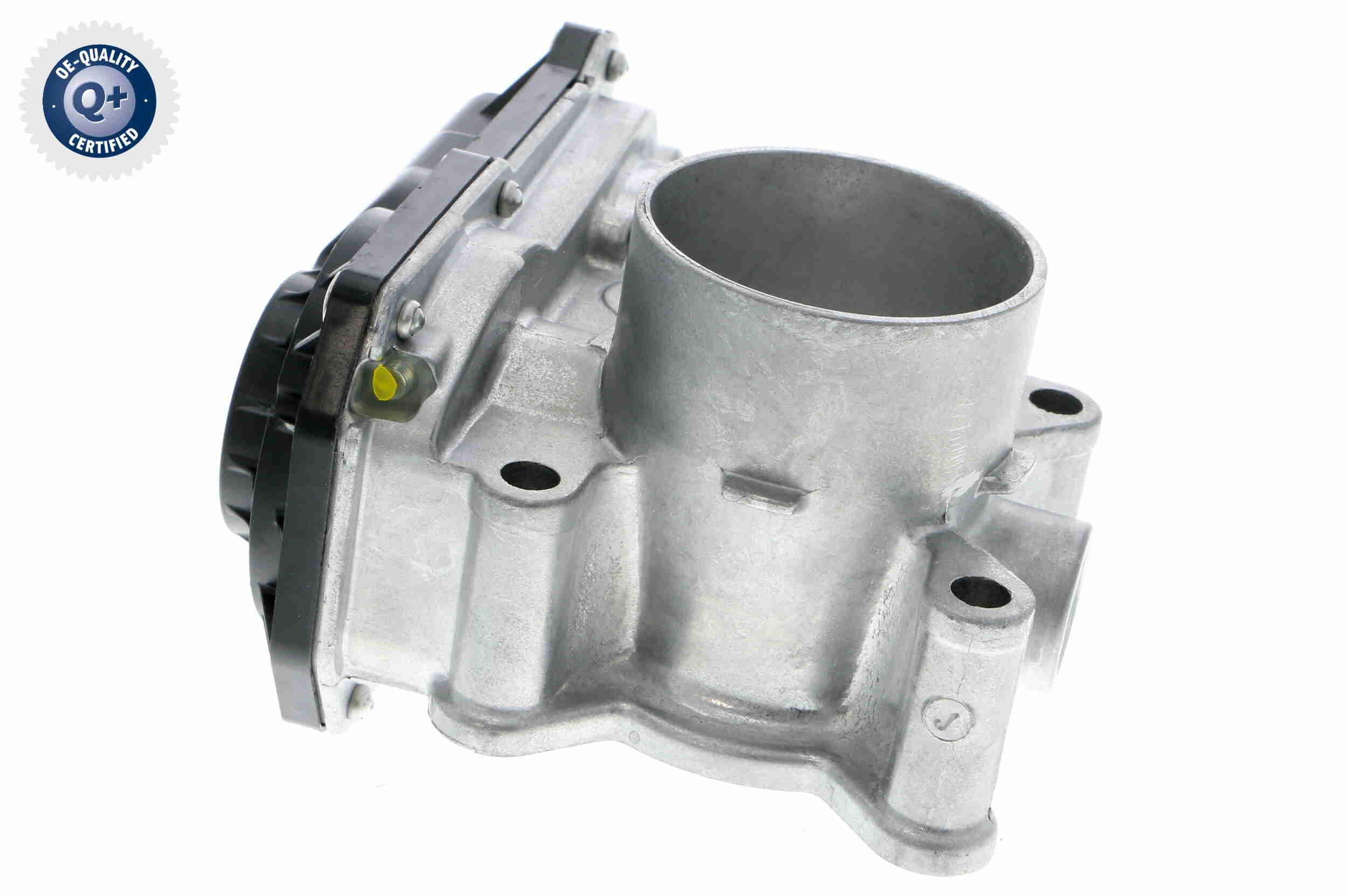 V46-81-0001