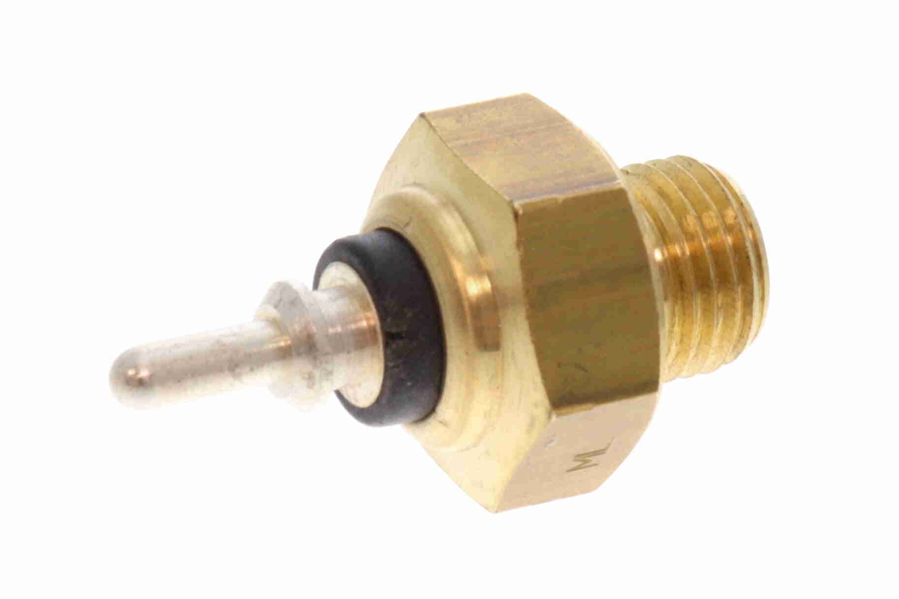 V30-72-0079