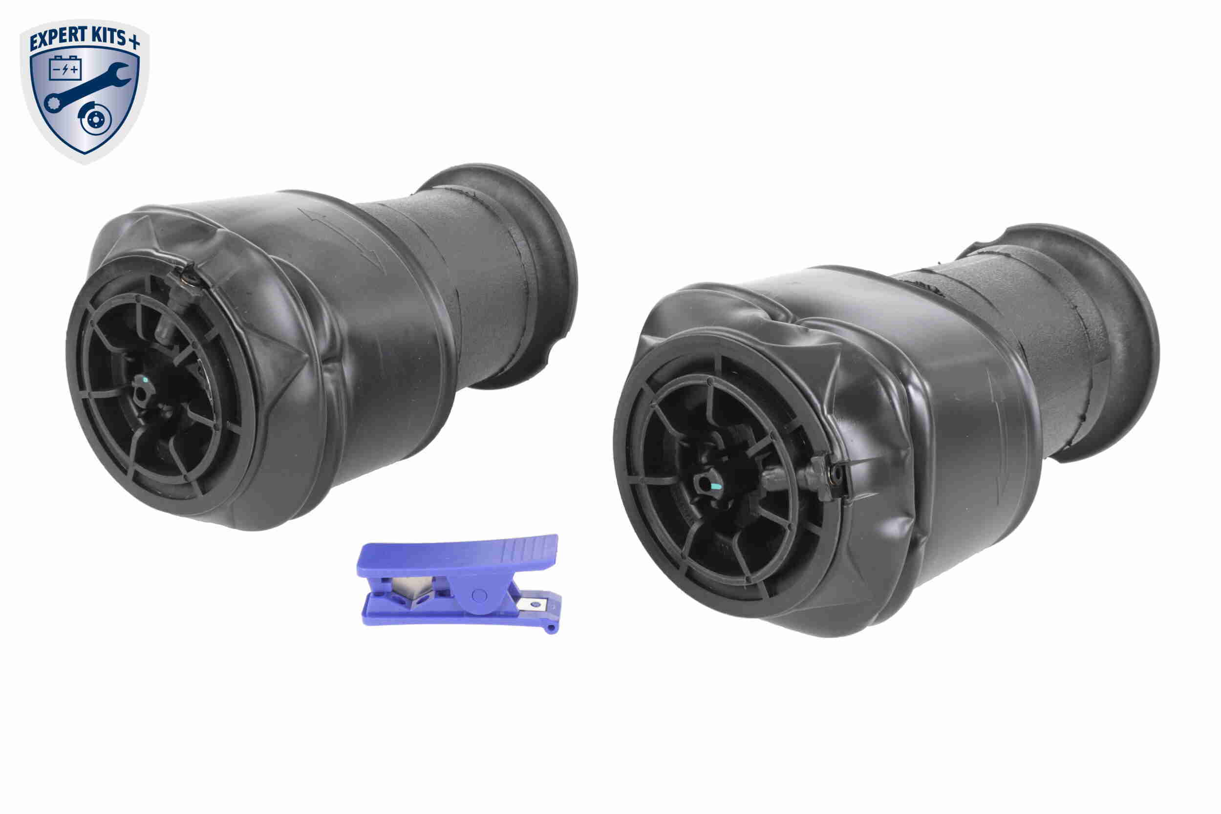 V22-50-20001
