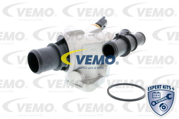 V24-99-0029