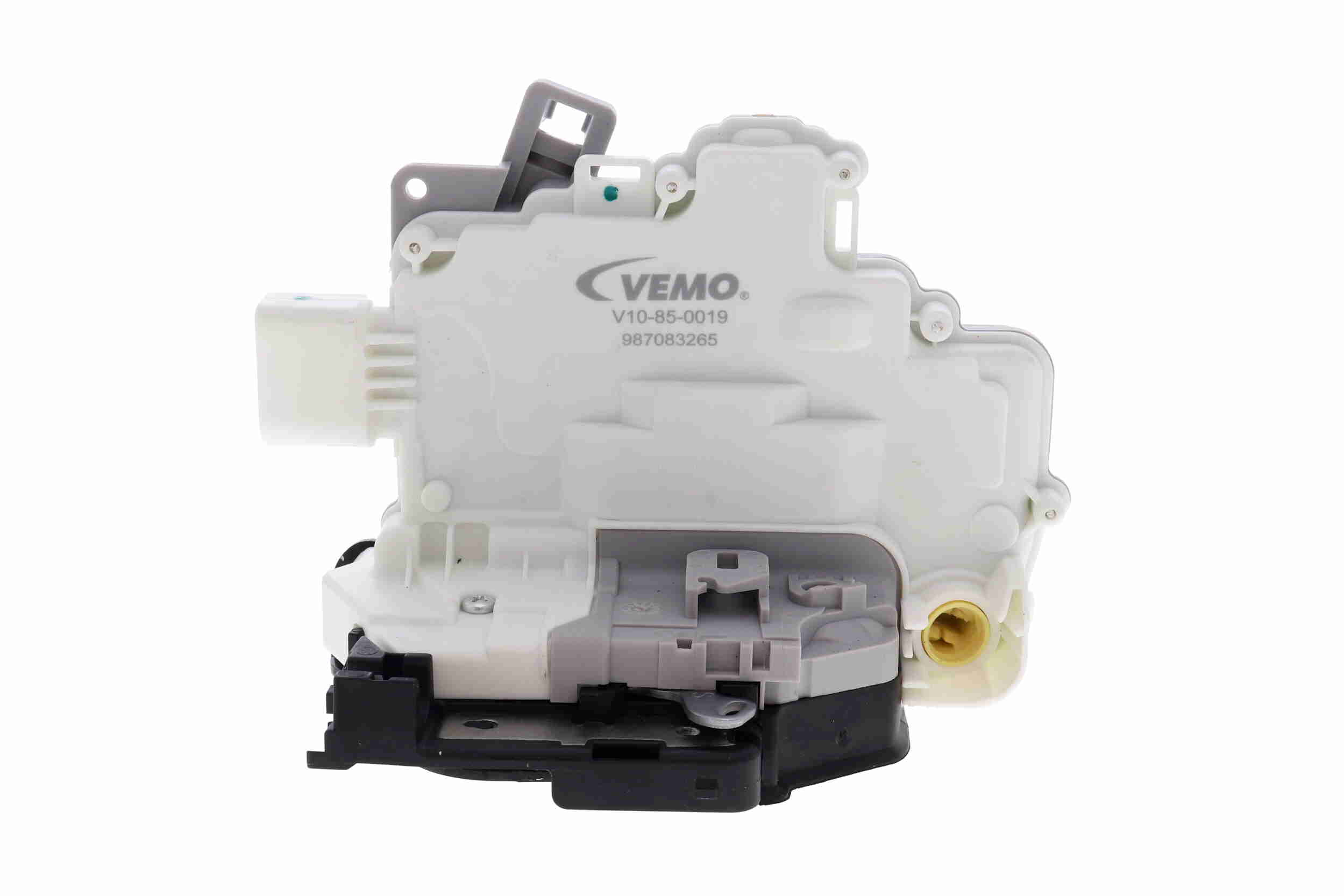 V10-85-0019